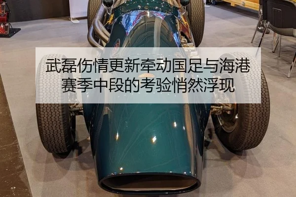 wu-lei-shang-qing-geng-xin-qian-dong-guo-zu-yu-hai-gang-sai-ji-zhong-duan-de-kao-yan-qiao-ran-fu-xian-2-966.jpg